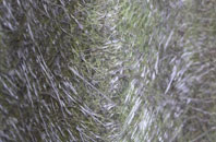 Melchbourne fibreglass roof work